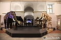 VBS_0953 - Riapre il Museo di Scienze Naturali dopo dieci anni di chiusura